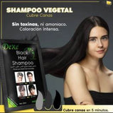 SHAMPOO CUBRE CANAS